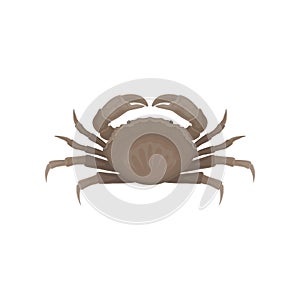 Flat vector icon of brown crab. Marine animal with big claws. Decorative element for poster, cafe or restaurant menu