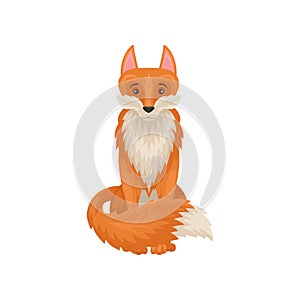 Flat vector icon of cute sitting red fox. Forest animal with bright orange coat and fluffy tail. Wildlife theme