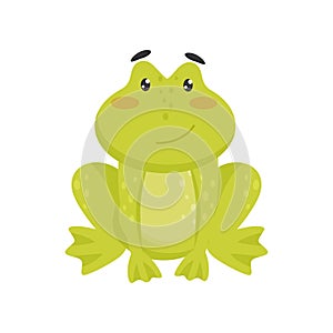 Flat vector icon of cute smiling frog. Cartoon character of funny green toad with pink cheeks and shiny eyes