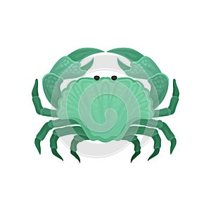Flat vector icon of green crab. Marine creature with big claws. Sea animal. Element for print, children book or mobile