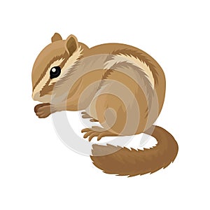 Flat vector icon of small brown chipmunk. Small mammal animal. Rodent with cheek pouches and light and dark stripes