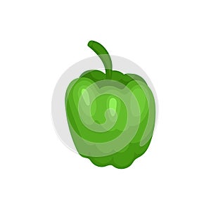 Flat vector icon of sweet Bulgarian bell pepper. Fresh green paprika. Organic and healthy food