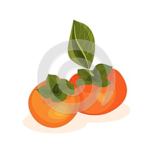 Flat vector icon of two ripe persimmons. Bright orange fruit with green leaf. Tasty food. Element for product packaging