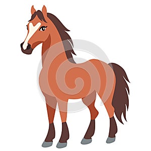 Flat vector illustration. Farm animals, cute nester horse on white background photo