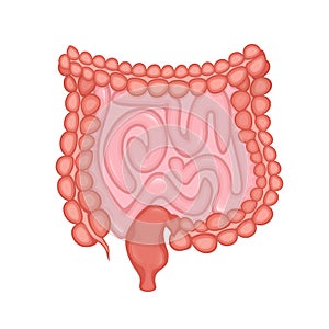 Flat vector illustration. Flat vector illustration with intestines, digestive system concept.