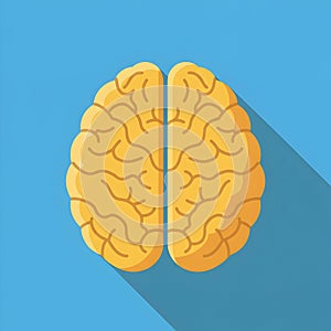 Flat vector illustration of human brain, human brain diagram, vector illustration of human brain
