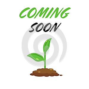 Flat vector illustration planting tree. Seedling gardening plant. Seeds sprout in ground. Growing, agriculture icons with text