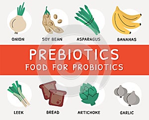 Nutrient rich products and sources of prebiotics photo