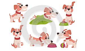Flat Vector Illustration Set With Jack Russell Terrier Daily Activity