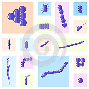 Flat vector microbiology set.