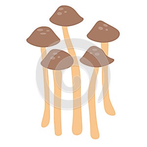 Flat vector of mushroom isolated on white background. Flat illustration graphic icon EPS