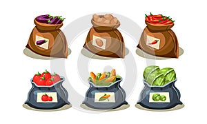 Flat vector set of bags full of fresh vegetables. Ripe eggplant, potato, hot chili pepper, tomato, corn and cabbage