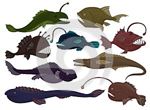 Flat vector set of different predatory fishes. Sea creatures. Marine animals. Underwater life theme