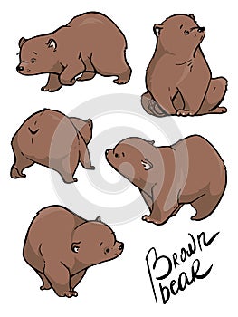 Flat vector set of large bear in different poses. Wild forest creature with brown fur.