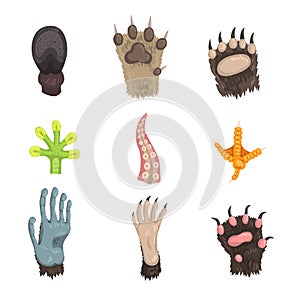 Flat vector set of paws of various animals: dog, bear, cat, frog, monkey, chicken leg, horse hoof and tentacle of