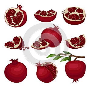 Flat vector set of red ripe pomegranates. Healthy food. Delicious fruit full of juicy seeds. Organic product