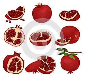 Flat vector set of sliced and whole pomegranates. Organic and tasty fruit full of juicy seeds. Natural food