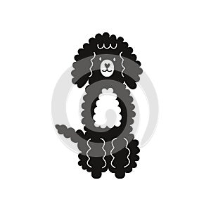 Cinco de Mayo 2000 2