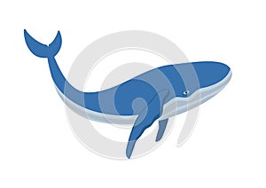 Flat Vector simple logo blue whale for print isolated on white background