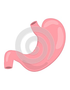 Flat vector stomach icon