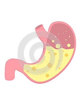 Flat vector stomach icon