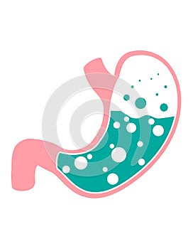 Flat vector stomach icon