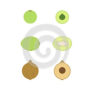 Flat vector triphala icon