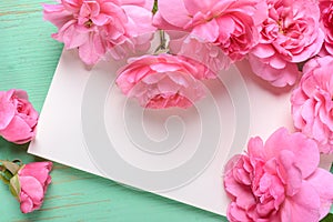 Flat view of card and Pink rose on the colour background