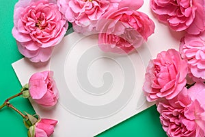 Flat view of card and Pink rose on the colour background