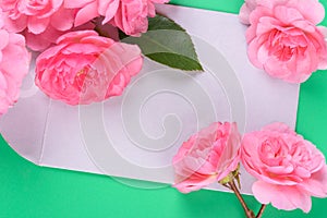 Flat view of envelope and Pink rose on the colour background
