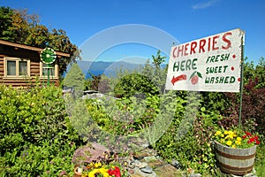 Flathead Lake Cherry Stand photo