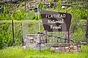 Flathead National Forest photo