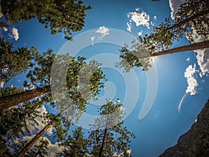 Flathead reservation landscapes in montana