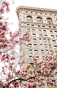 Flatiron Building in New York City