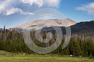 Flat Iron Mountain viewed from Long Draw Road, Colorado.