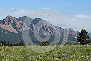 The Flatirons