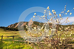 Flatirons Boulder Colorado Chautauqua Park