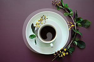Flatlay A cup of coffee and on a round saucer lies a twig with small yellow flowers and leaves Flat lay white on a dark purple