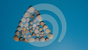 flatlay: seashells laid out on a blue background, in the form of a Christmas tree. Christmas and New Year concept.