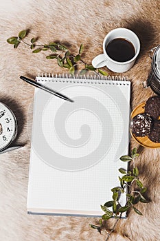 Flatlay studio shot of various objects