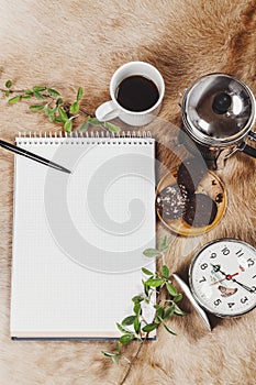 Flatlay studio shot of various objects