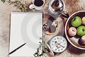 Flatlay studio shot of various objects