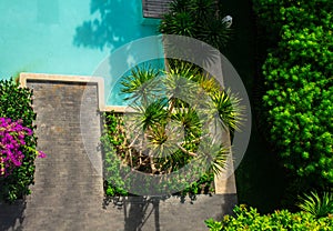 Flatlay sunbathing terrace pool side.