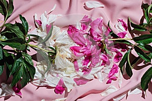 Flatlay of withered peonies on pink drapery