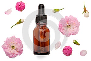 flatley of a glass bottle with an eyedropper and delicate flowers on a white isolated background