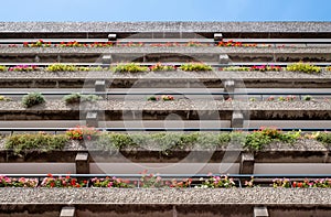 Flats built in post-war Brutalist style architecture at The Barbican in the City of London UK, with colourful flowers on the balco