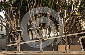 Flattened Hill In San Francisco