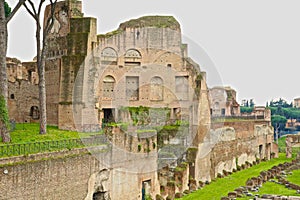 Flavian Palace ruins Rome