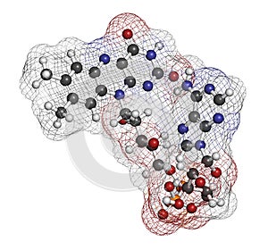 Flavin adenine dinucleotide (FAD) redox coenzyme molecule