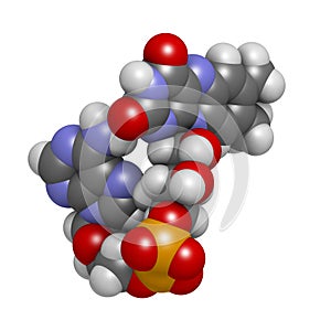 Flavin adenine dinucleotide (FAD) redox coenzyme molecule photo